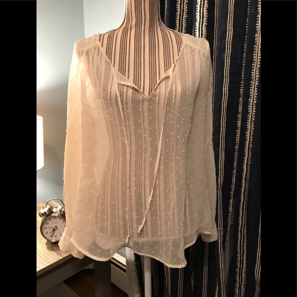 DANIEL RAINN Sheer Blouse